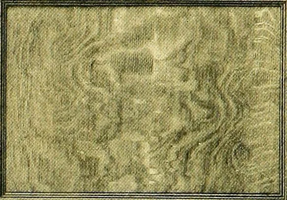 An illustration from Book of home building and decoration, prepared in cooperation with and under the direction of the leading manufacturers of the country, 1912, leaf 29