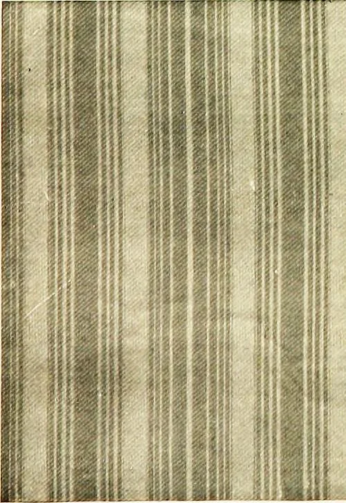 An illustration from Book of home building and decoration, prepared in cooperation with and under the direction of the leading manufacturers of the country, 1912, leaf 48