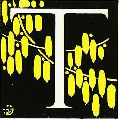 An illustration from Book of home building and decoration, prepared in cooperation with and under the direction of the leading manufacturers of the country, 1912, leaf 49