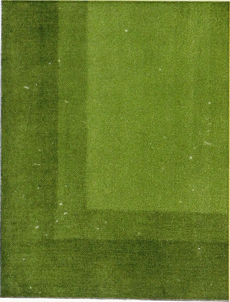 An illustration from Book of home building and decoration, prepared in cooperation with and under the direction of the leading manufacturers of the country, 1912, leaf 89