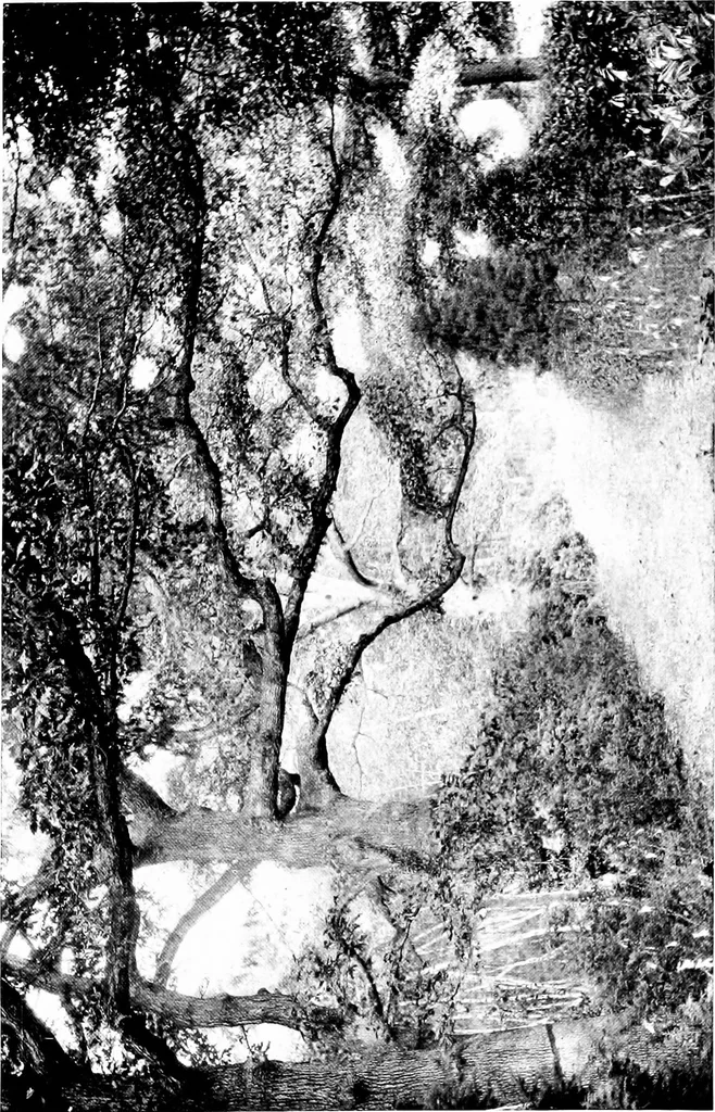 An illustration from The livable house, its garden, 1917, leaf 100