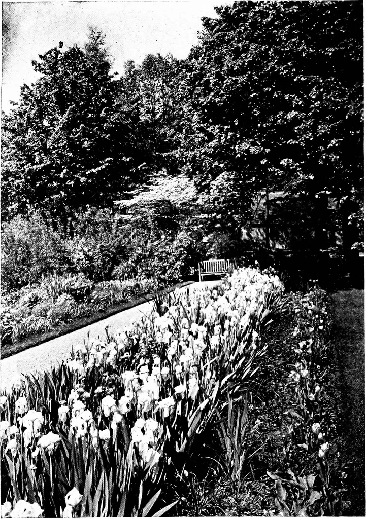 An illustration from The livable house, its garden, 1917, leaf 102