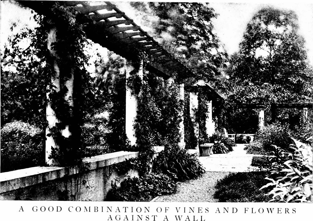 An illustration from The livable house, its garden, 1917, leaf 104