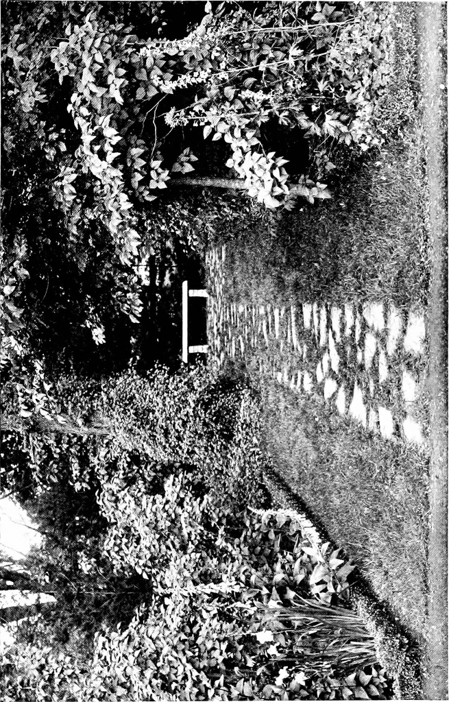 An illustration from The livable house, its garden, 1917, leaf 112