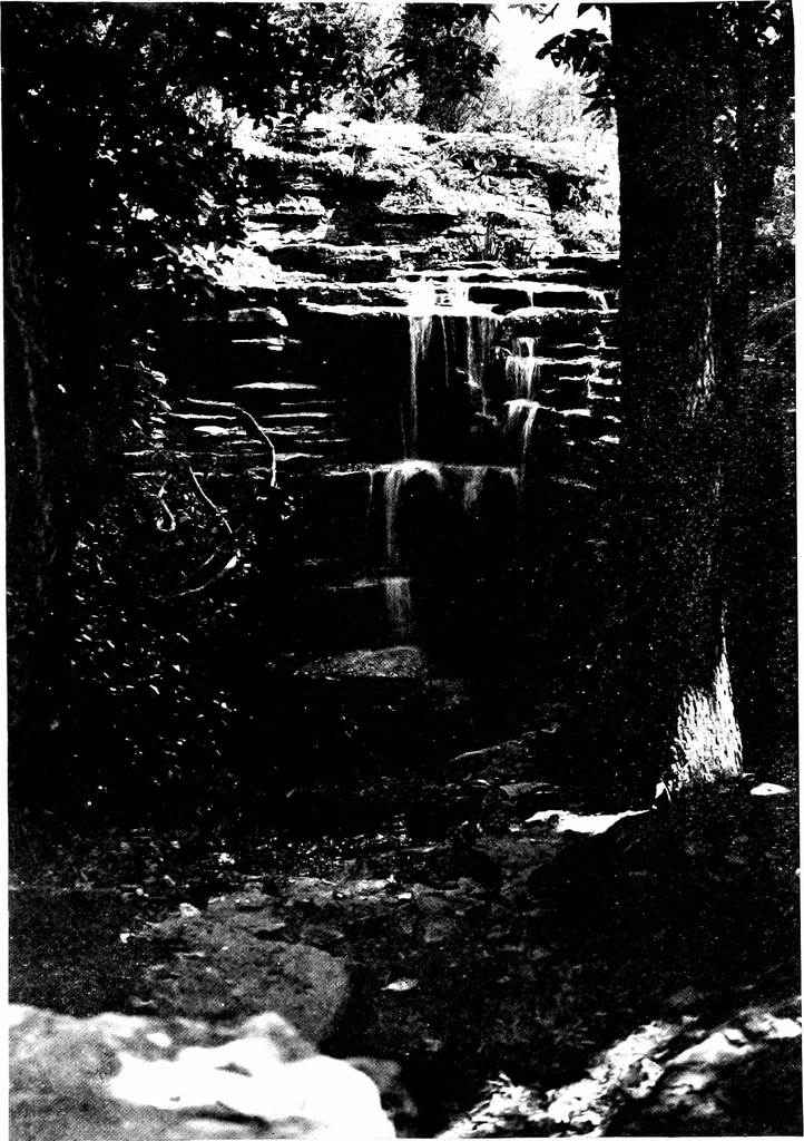 An illustration from The livable house, its garden, 1917, leaf 133