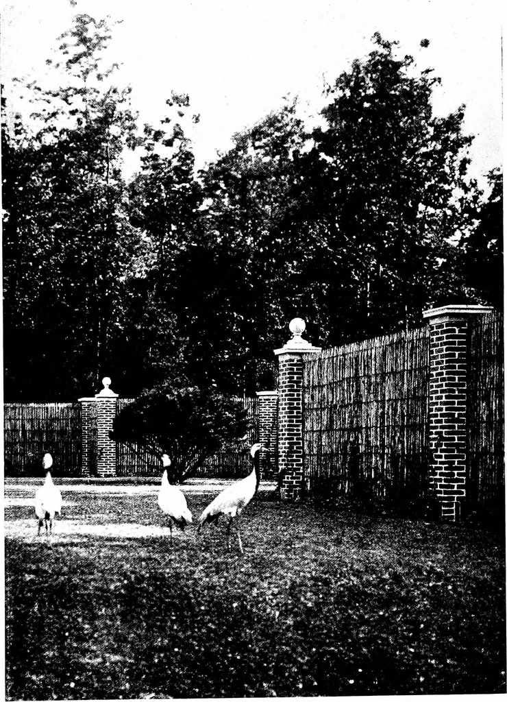 An illustration from The livable house, its garden, 1917, leaf 189