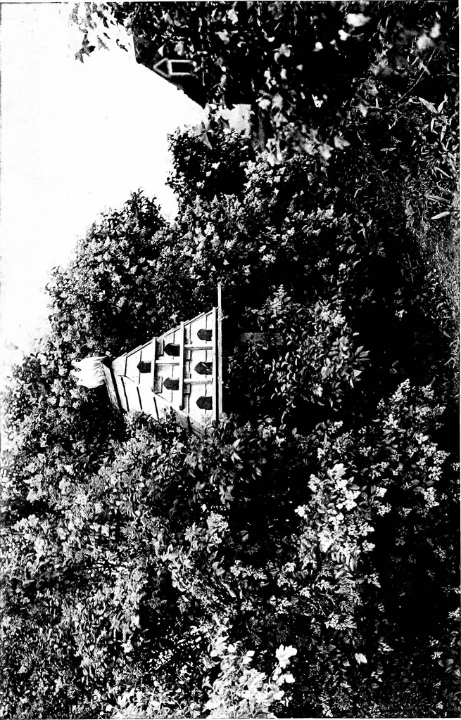 An illustration from The livable house, its garden, 1917, leaf 198
