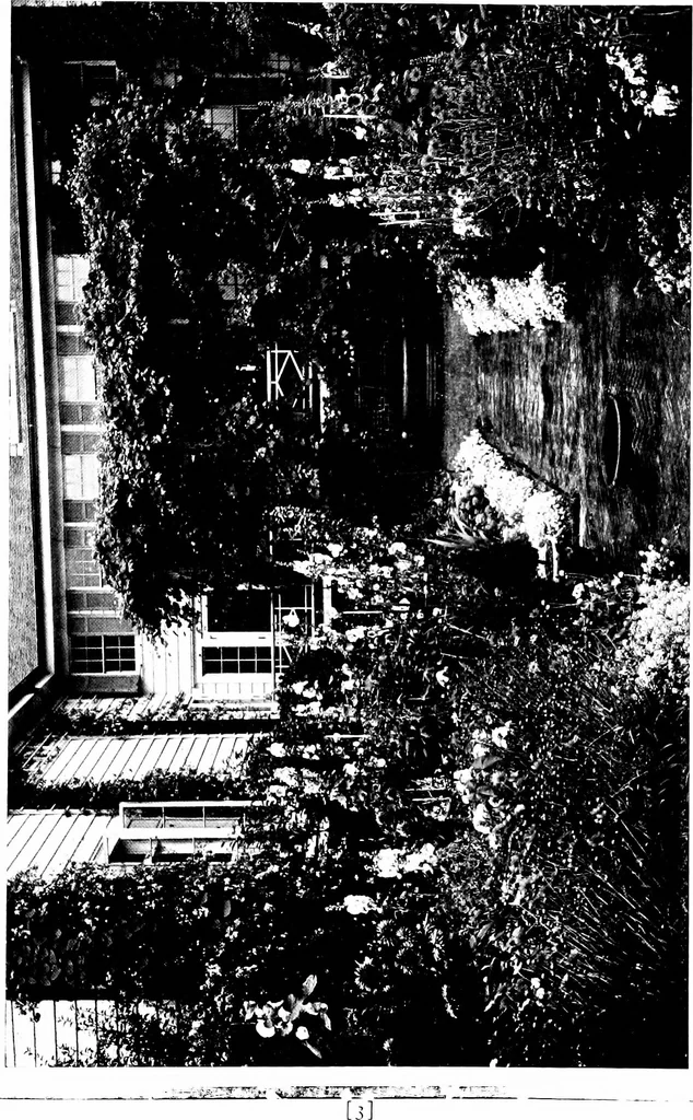 An illustration from The livable house, its garden, 1917, leaf 30