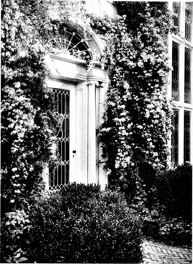An illustration from The livable house, its garden, 1917, leaf 5