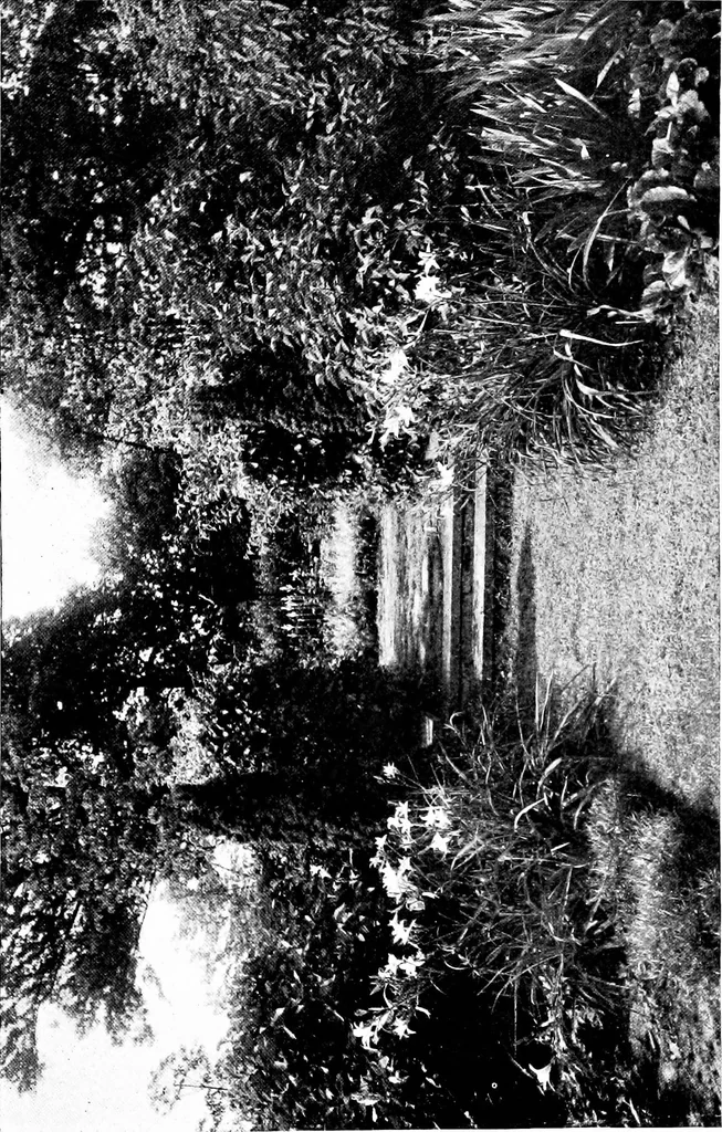 An illustration from The livable house, its garden, 1917, leaf 52