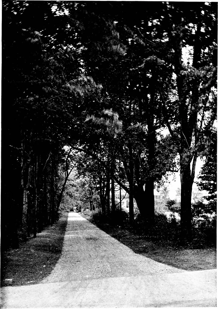 An illustration from The livable house, its garden, 1917, leaf 54