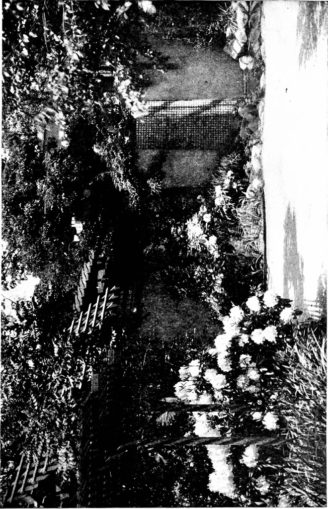 An illustration from The livable house, its garden, 1917, leaf 84