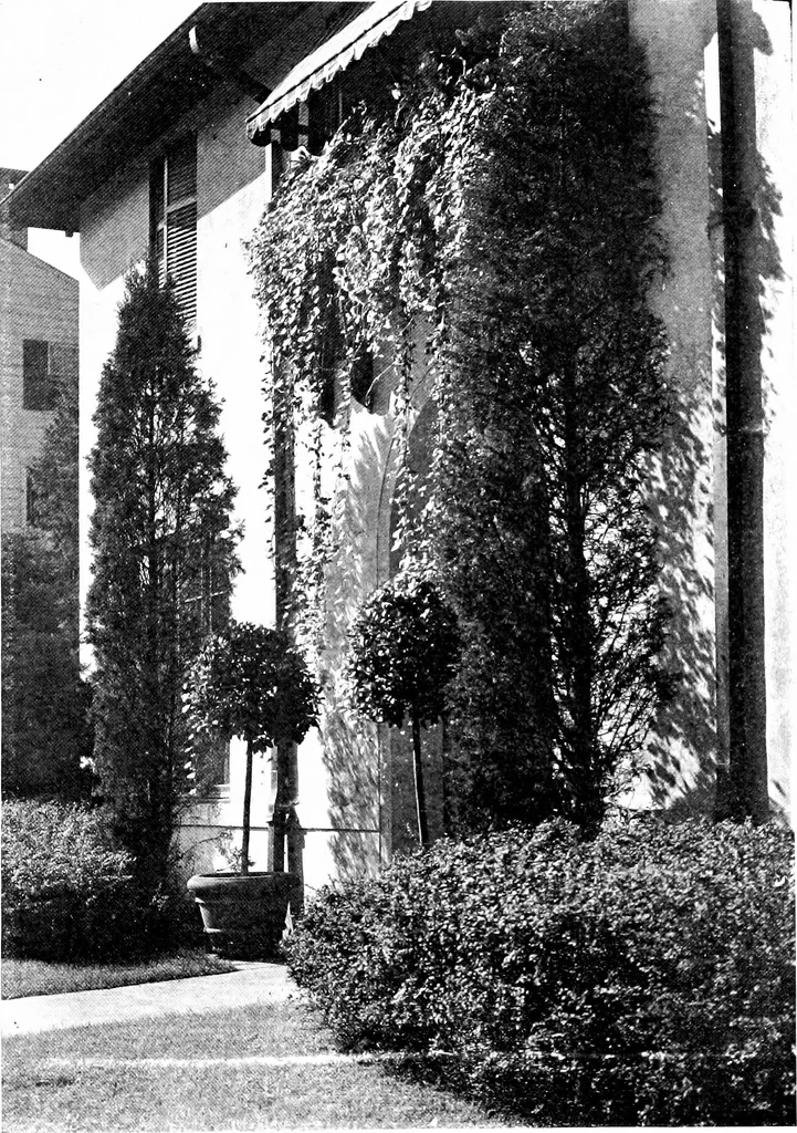 An illustration from The livable house, its garden, 1917, leaf 86