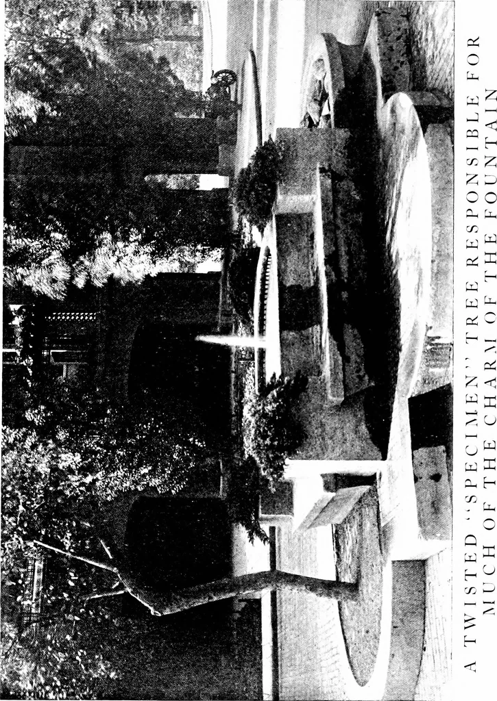 An illustration from The livable house, its garden, 1917, leaf 96