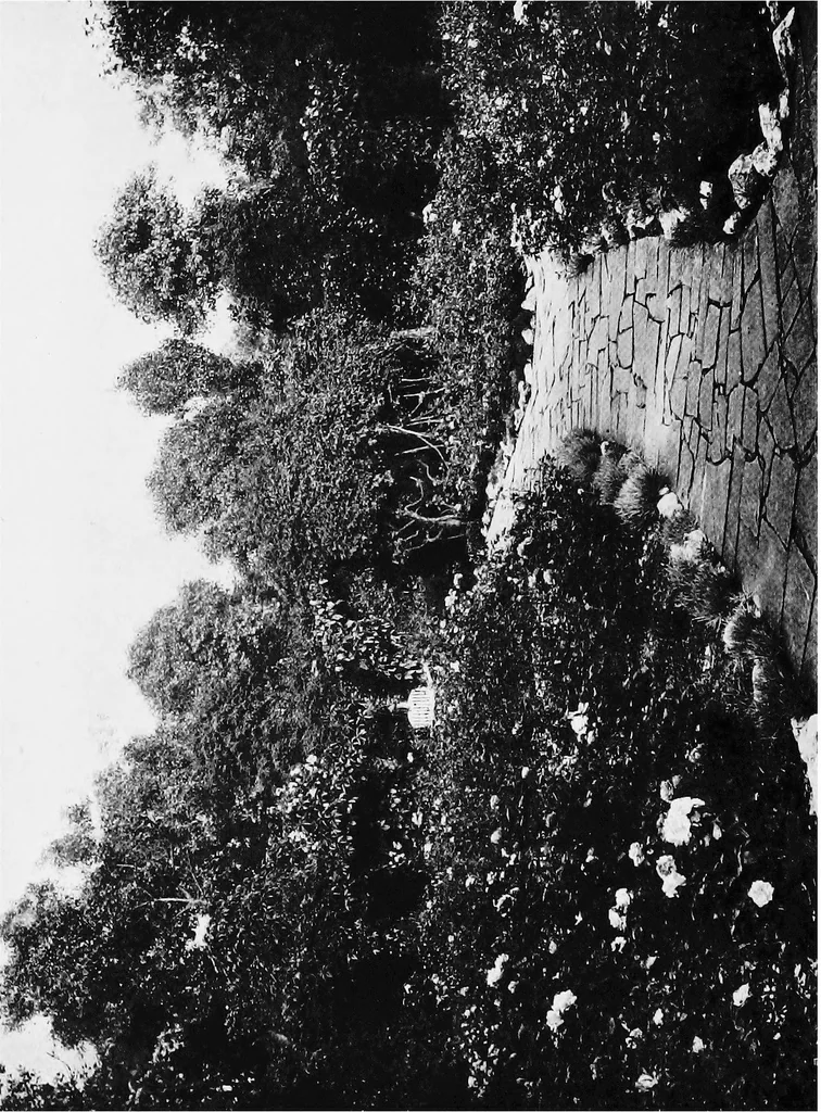 An illustration from Sea-coast gardens and gardening, 1908, leaf 143