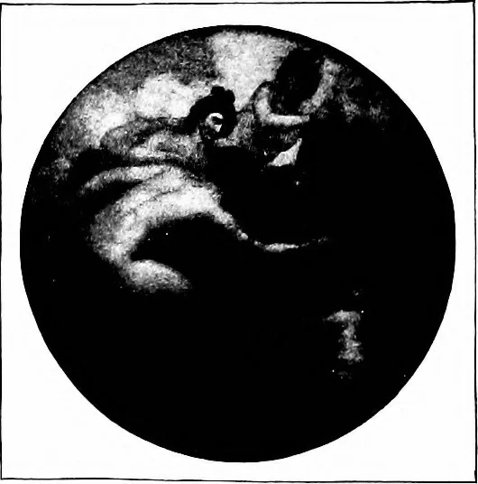 An illustration from Art in Great Britain and Ireland, 1913, leaf 239