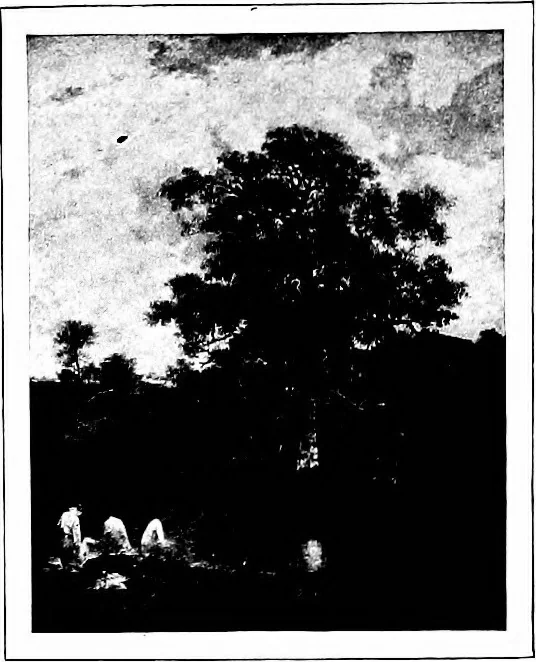 An illustration from Art in Great Britain and Ireland, 1913, leaf 241