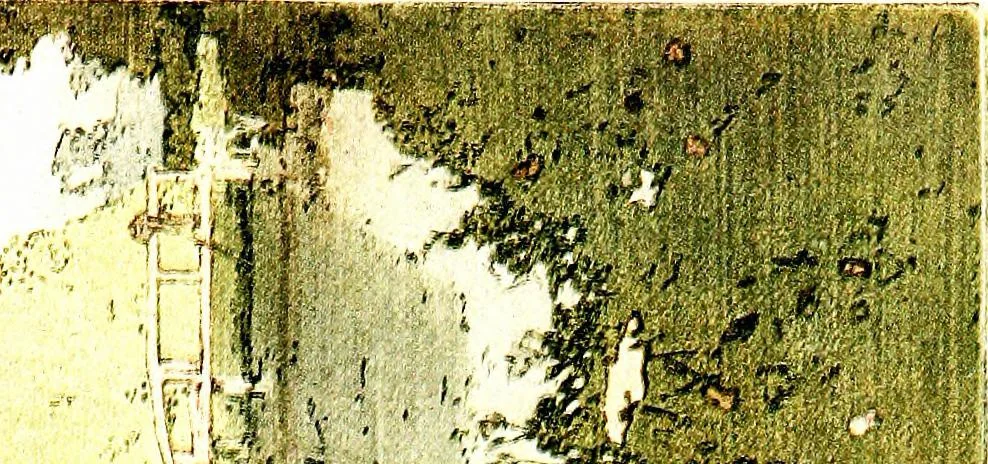 An illustration from The graphic arts of Great Britain; drawing, line-engraving, etching, mezzotint, aquatint, lithography, woodengraving, colour-printing, 1917, leaf 178