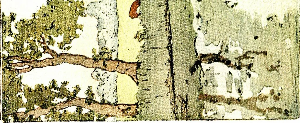 An illustration from The graphic arts of Great Britain; drawing, line-engraving, etching, mezzotint, aquatint, lithography, woodengraving, colour-printing, 1917, leaf 178