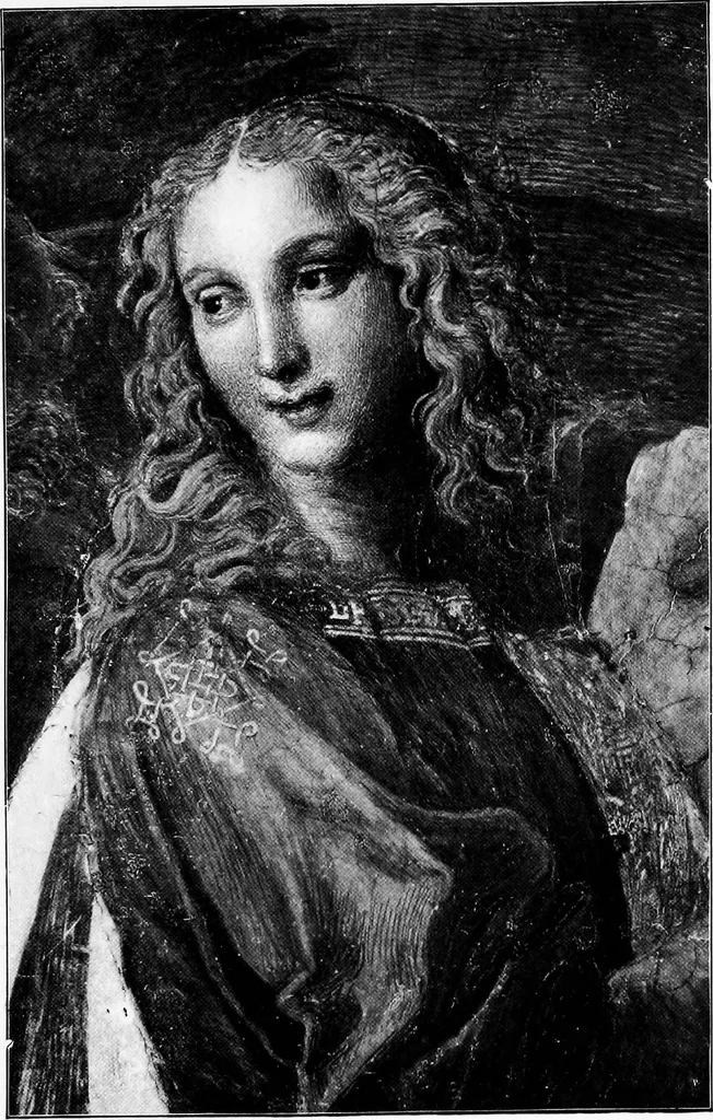 An illustration from The art of the Vatican; a brief history of the palace, and an account of the principal works of art within its walls, 1903, leaf 176