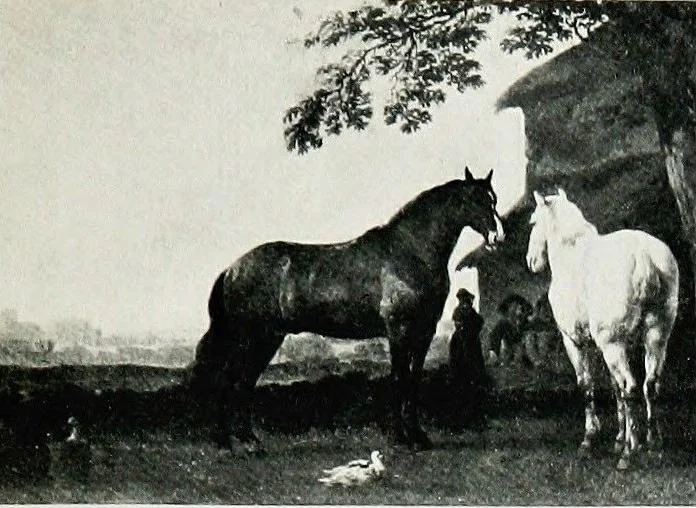 An illustration from A descriptive catalogue of the pictures in the Fitzwilliam museum, comp. largely from materials supplied by Sidney Colvin .., 1902, leaf 100