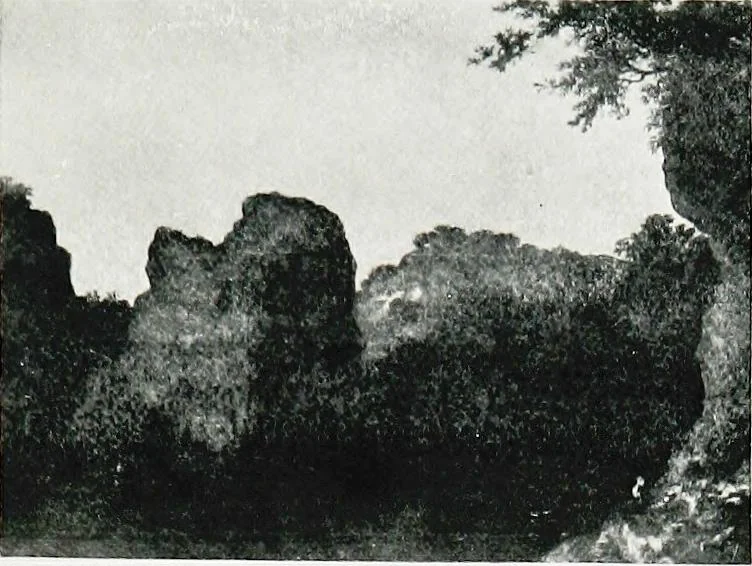 An illustration from A descriptive catalogue of the pictures in the Fitzwilliam museum, comp. largely from materials supplied by Sidney Colvin .., 1902, leaf 124