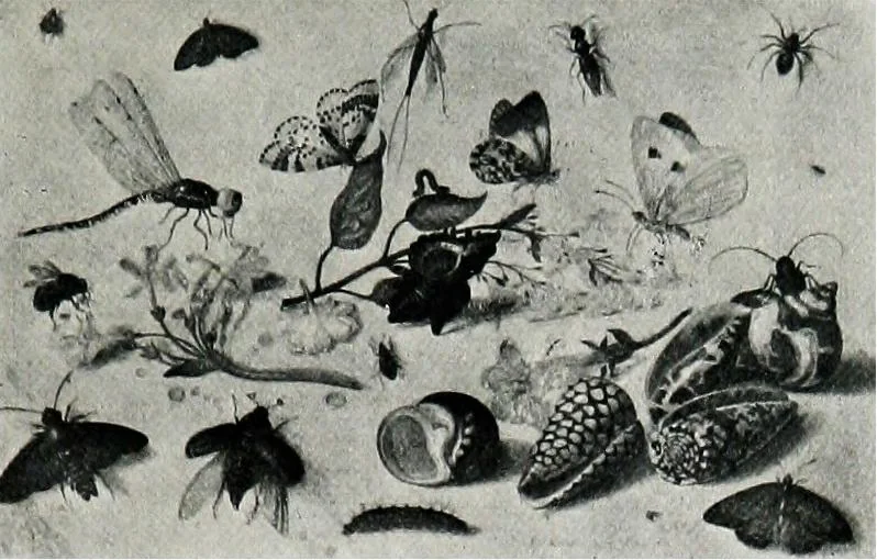 An illustration from A descriptive catalogue of the pictures in the Fitzwilliam museum, comp. largely from materials supplied by Sidney Colvin .., 1902, leaf 184