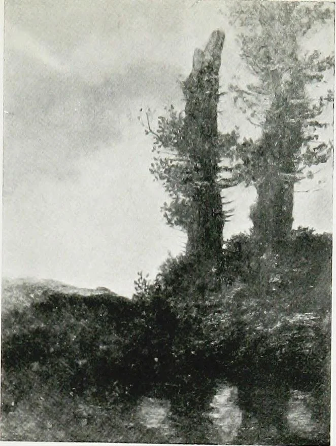 An illustration from A descriptive catalogue of the pictures in the Fitzwilliam museum, comp. largely from materials supplied by Sidney Colvin .., 1902, leaf 198