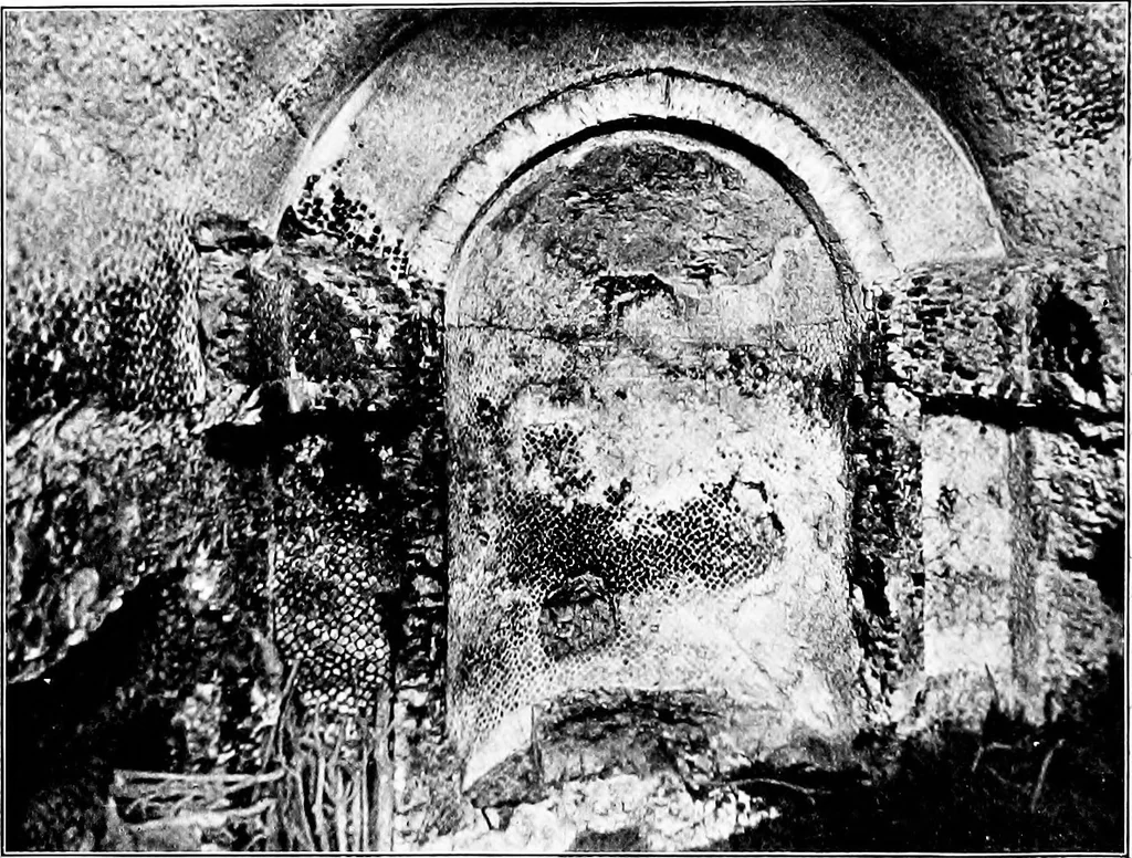An illustration from Wanderings in the Roman campagna, 1909, leaf 129