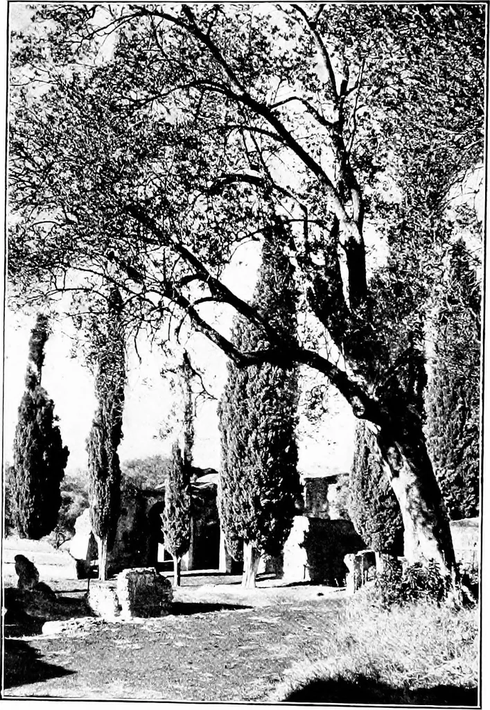 An illustration from Wanderings in the Roman campagna, 1909, leaf 171