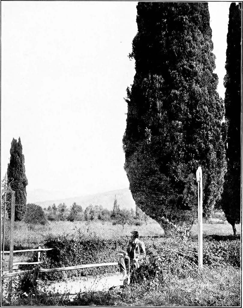 An illustration from Wanderings in the Roman campagna, 1909, leaf 172