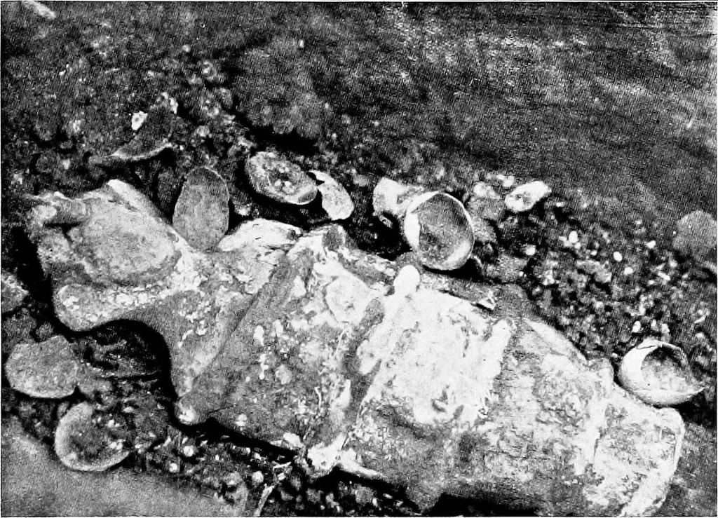 An illustration from Wanderings in the Roman campagna, 1909, leaf 210