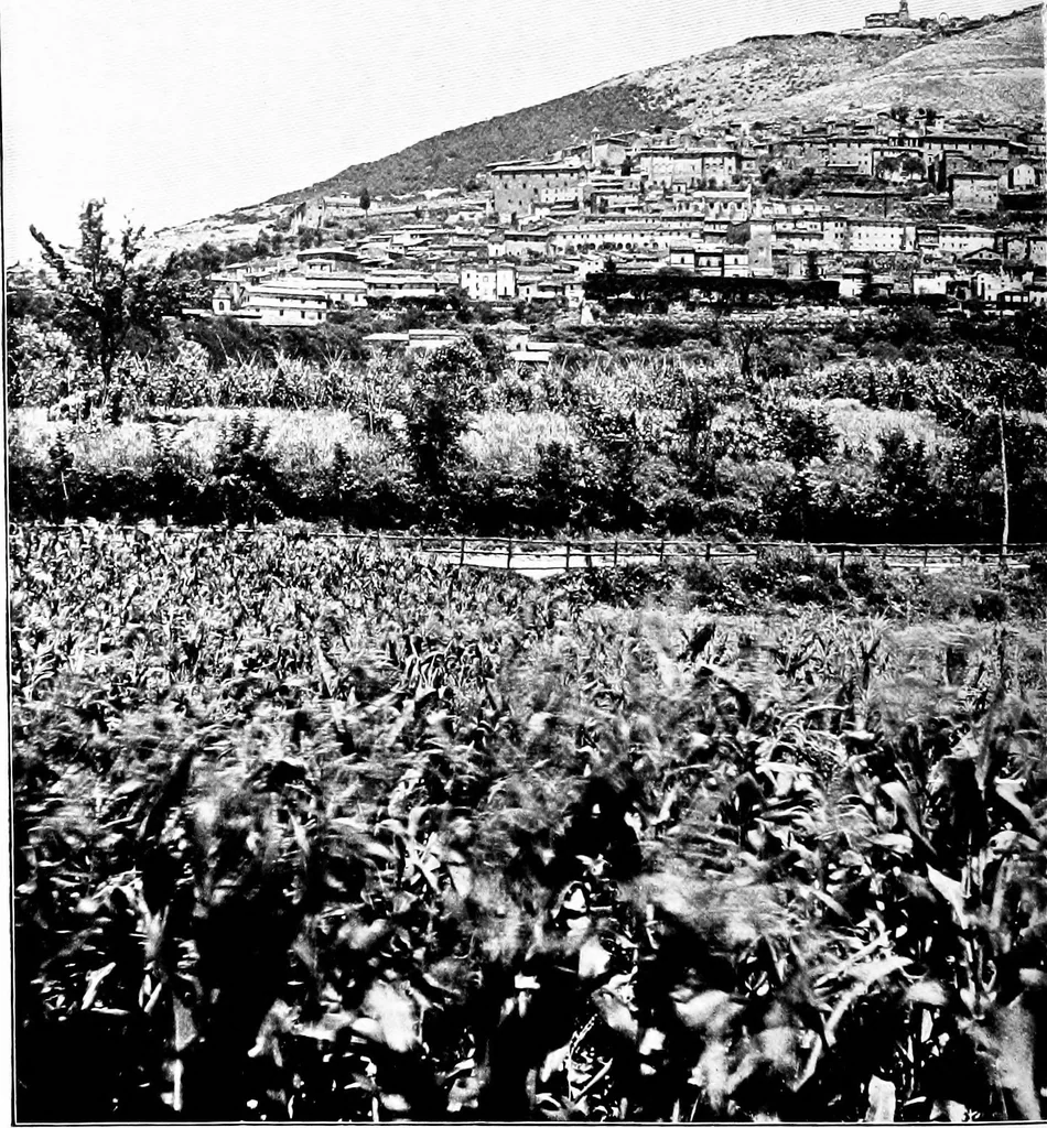 An illustration from Wanderings in the Roman campagna, 1909, leaf 263