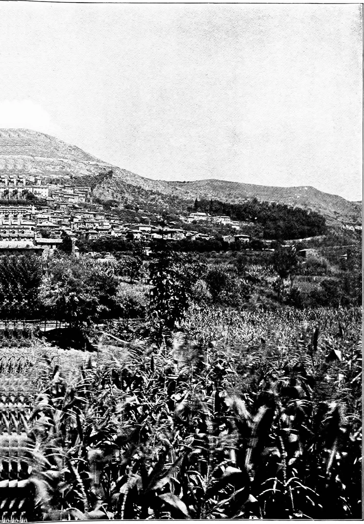 An illustration from Wanderings in the Roman campagna, 1909, leaf 264