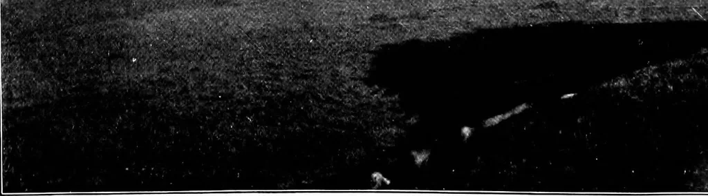 An illustration from Wanderings in the Roman campagna, 1909, leaf 29