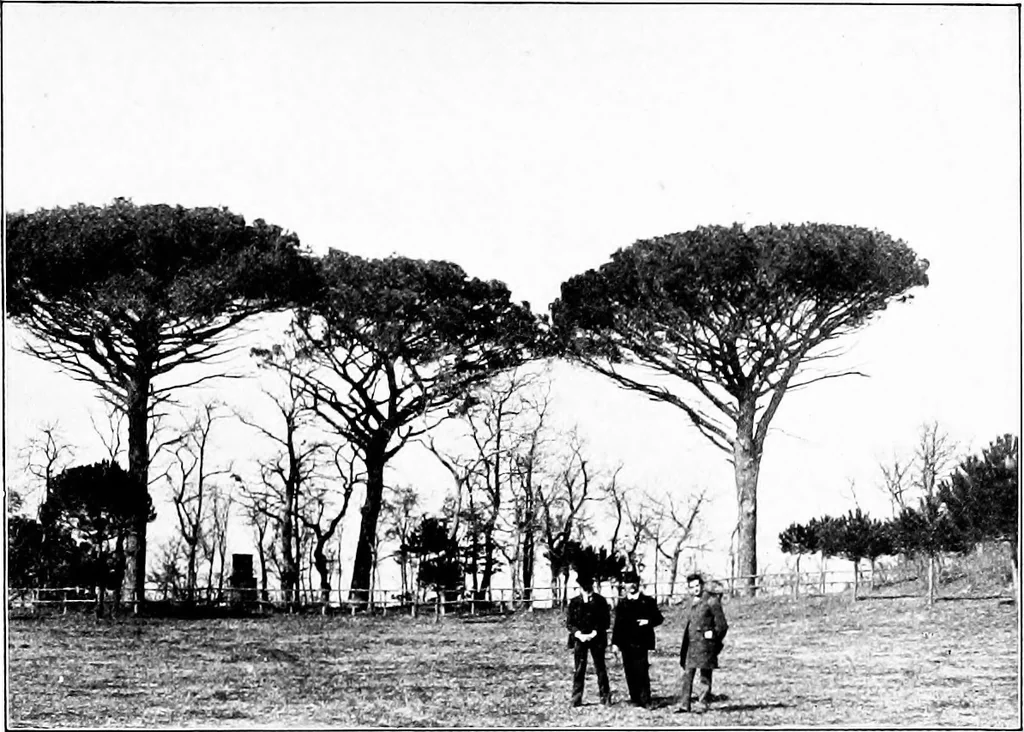 An illustration from Wanderings in the Roman campagna, 1909, leaf 304