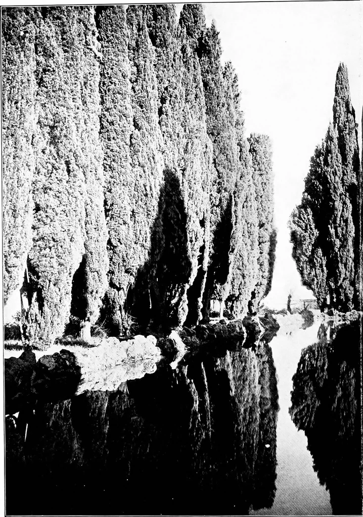 An illustration from Wanderings in the Roman campagna, 1909, leaf 329