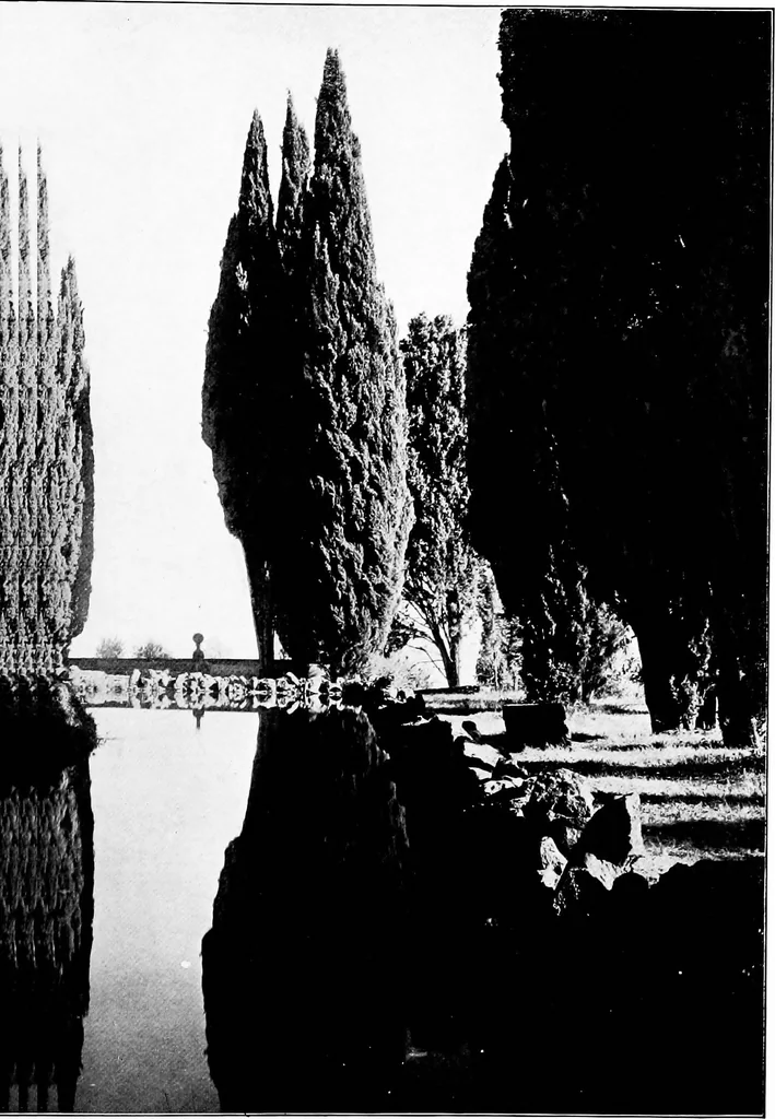 An illustration from Wanderings in the Roman campagna, 1909, leaf 330