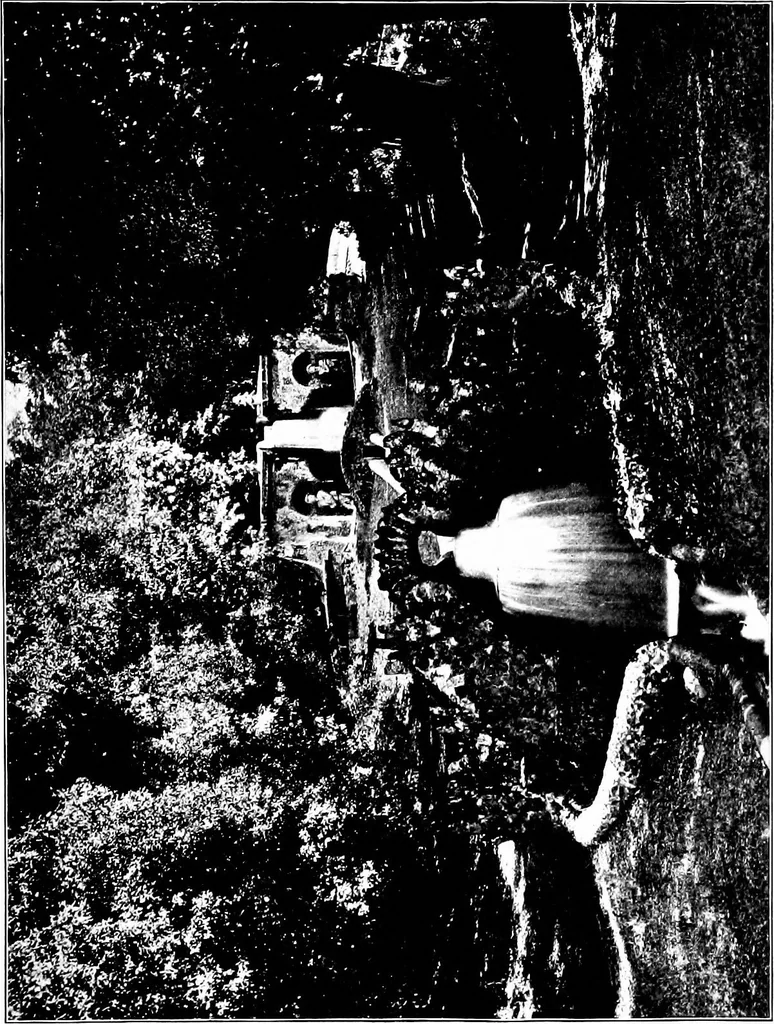 An illustration from Wanderings in the Roman campagna, 1909, leaf 340