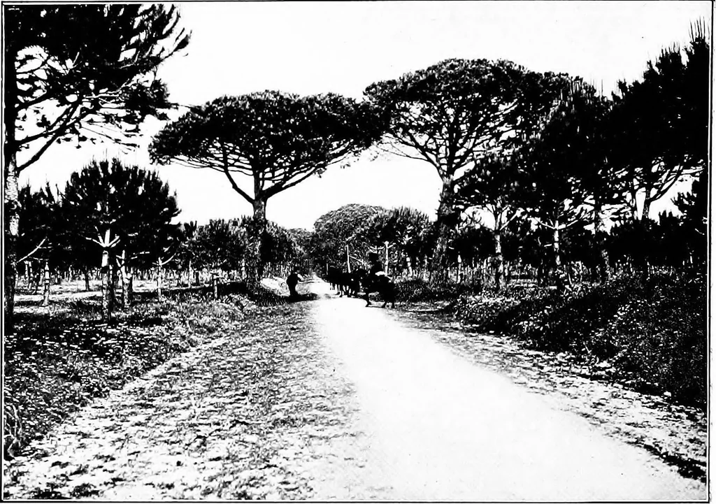An illustration from Wanderings in the Roman campagna, 1909, leaf 353