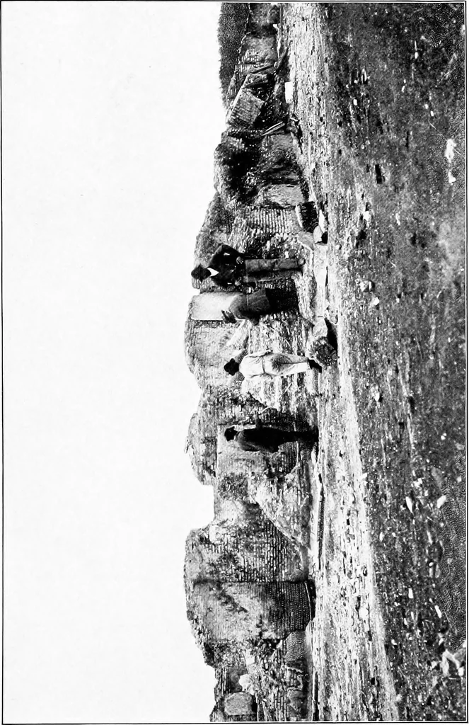 An illustration from Wanderings in the Roman campagna, 1909, leaf 364