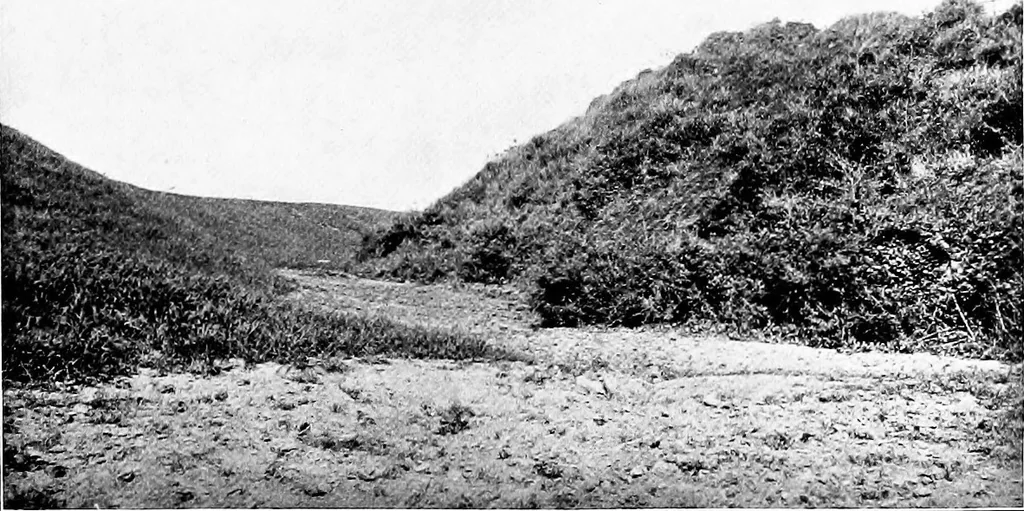 An illustration from Wanderings in the Roman campagna, 1909, leaf 384