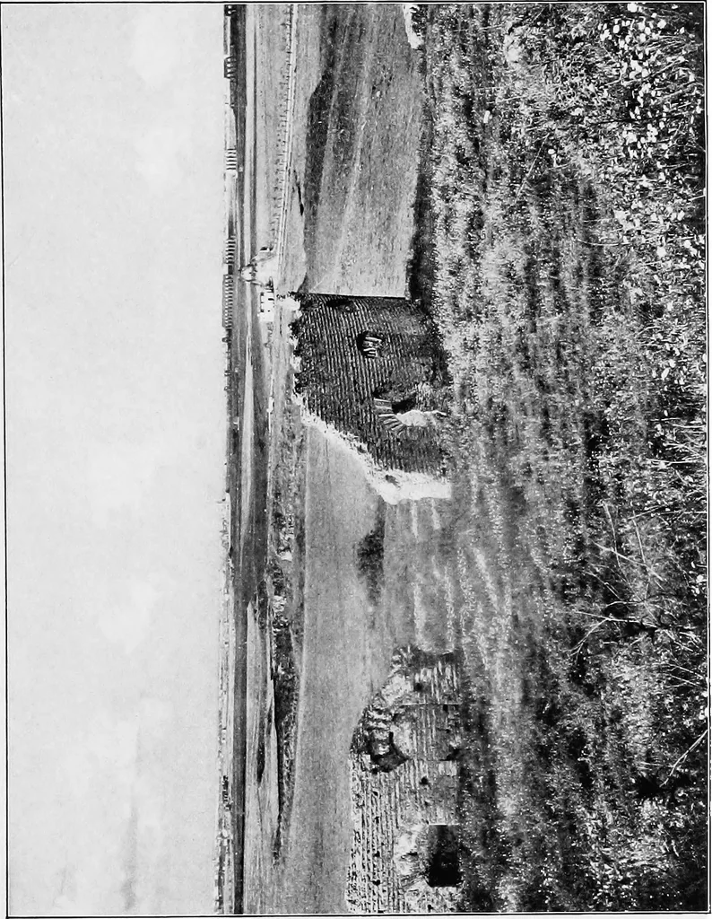 An illustration from Wanderings in the Roman campagna, 1909, leaf 46
