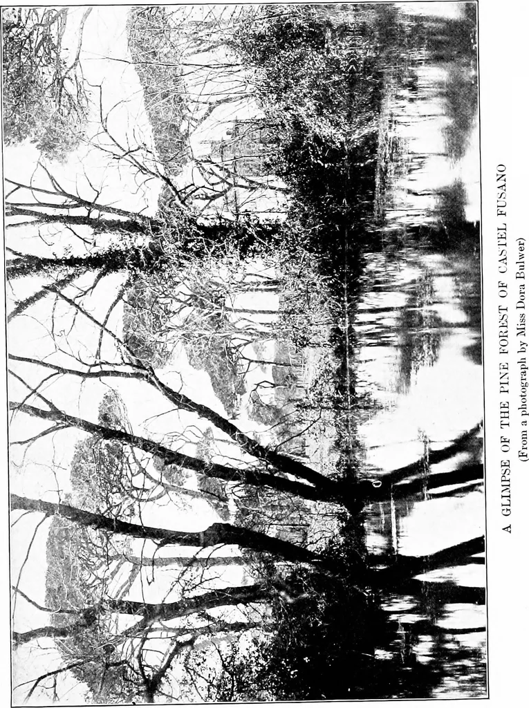 An illustration from Wanderings in the Roman campagna, 1909, leaf 50