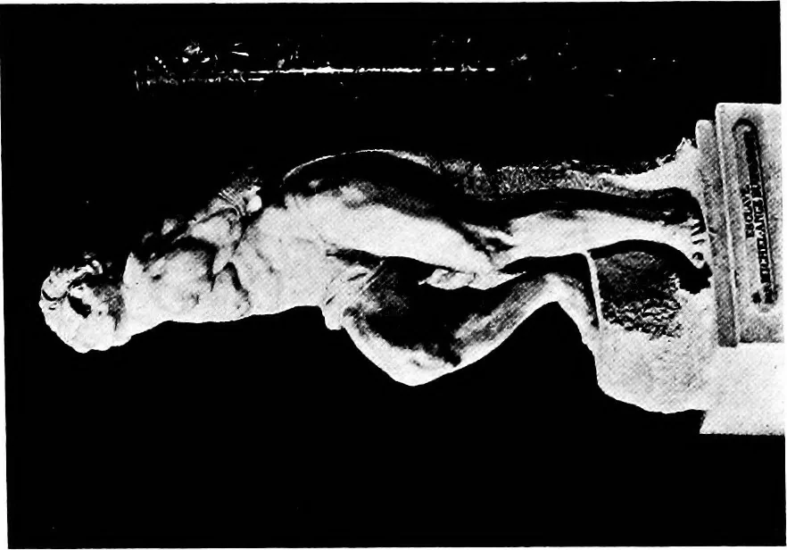 An illustration from What sculpture to see in Europe, 1920, leaf 230