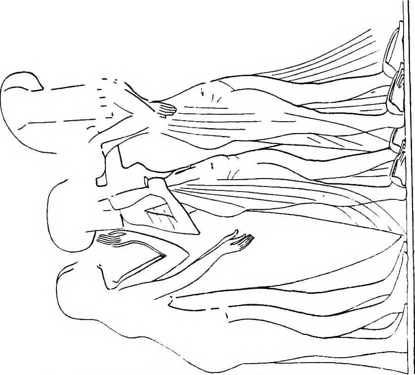 An illustration from The rock tombs of El Amarna .., 1903, leaf 76