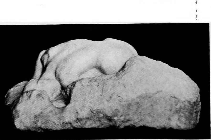 An illustration from A guide to the works of art in New York City, 1916, leaf 51