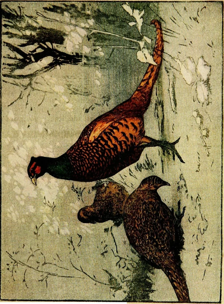 An illustration from Modern woodcuts and lithographs by British and French artists, 1919, leaf 24