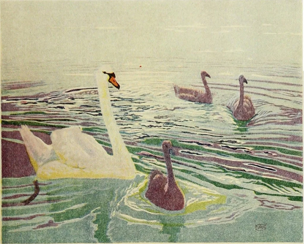 An illustration from Modern woodcuts and lithographs by British and French artists, 1919, leaf 52