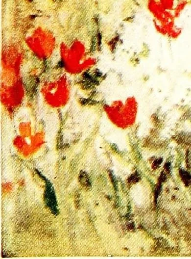 An illustration from Scottish gardens; being a representative selection of different types, old and new, 1908, leaf 145